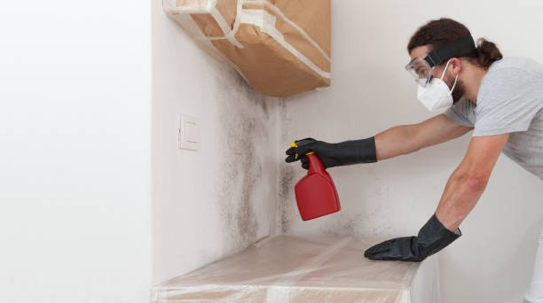 Professional Bathroom Mold Removal technician working in Sanford, NC