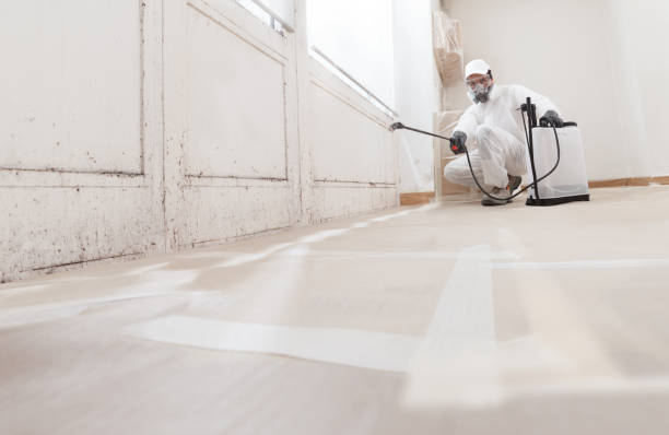 24/7 Emergency Bathroom Mold Removal experts in Sanford, NC