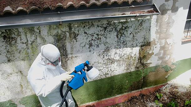 Top rated local Bathroom Mold Removal specialists in Sanford, NC